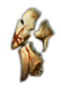Diablo 4 Blighted Fragment icon