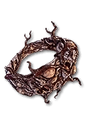 Diablo 4 Wound Drinker icon