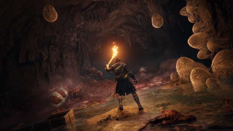 Elden Ring Movie Gets Release Date
