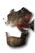 Jacinth Shell Unique Chest Armor in Diablo 4