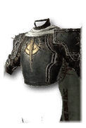 Mantle of the Grey Unique Chest Armor in Diablo 4