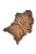 Diablo 4 Rawhide icon